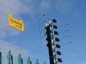 Perimeter Protection - Electric Fence